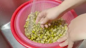 Cách Luộc Củ Lạc Ngon Bùi, Đơn Giản Tại Nhà