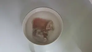 Cách Luộc Lưỡi Heo Tai Heo Giòn Ngon, Trắng Mịn - Món Ăn Dân Dã