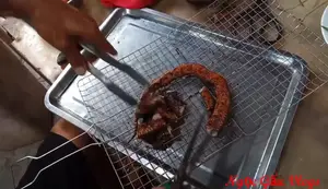 Rắn nướng nước mắm: Bí quyết ngon khó cưỡng từ đầu bếp chuyên nghiệp