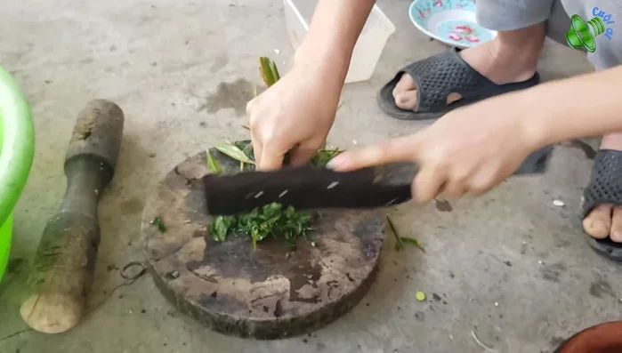 Thêm lá gừng già, lá gấc thái nhỏ.