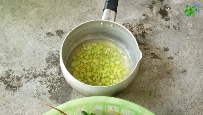 Chuẩn bị nguyên liệu: Rươi, ớt, măng (măng tre càng tốt), lá gừng già, lá gấc, thịt ba chỉ, muối, khế chua.