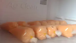 Cách làm kem đu đủ ngon mềm, mịn, dẻo tại nhà
