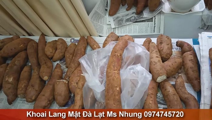Bảo quản: Nếu khoai bị dập, mềm, hãy cắt bỏ phần bị hư. Để khoai ở nơi khô ráo, thoáng mát trong rổ hoặc khay để khoai khô, lên mặt (3-7 ngày).