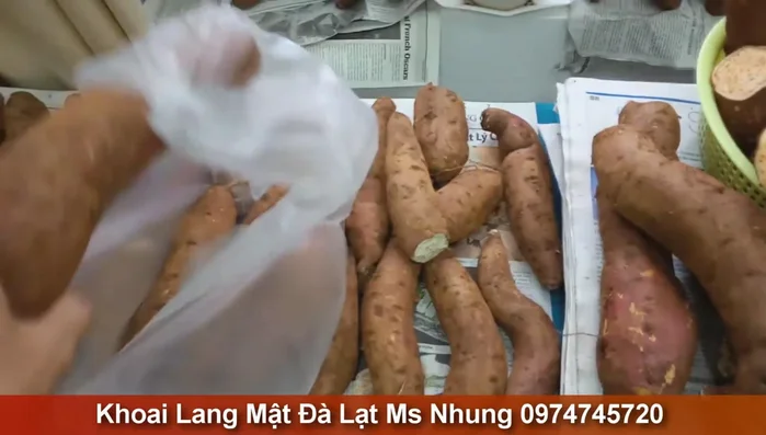 Chọn khoai: Kiểm tra khoai có mềm, bị sâu, mốc, hoặc mầm mọc không. Những vết thâm, lỗ nhỏ trên vỏ có thể là dấu hiệu khoai bị sâu.