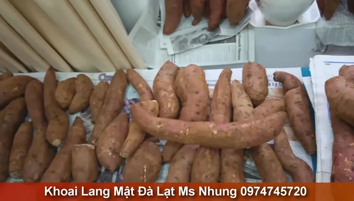 Khoai luộc (biến tấu): Luộc khoai với vài đoạn mía để tăng hương thơm và độ ngọt.