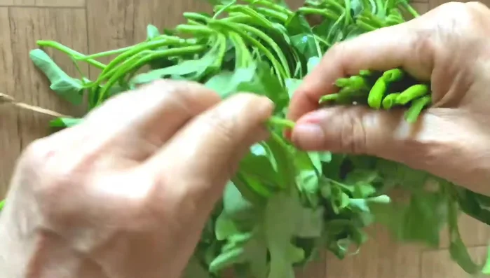 Rửa sạch rau muống, để ráo. (231.89)