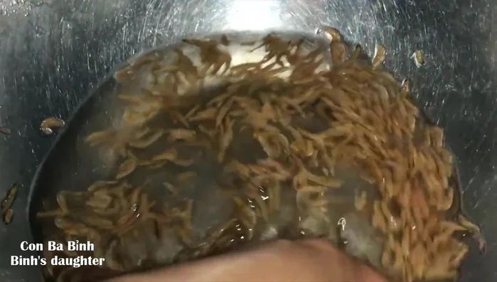 Rửa sạch tép khô. (Lưu ý: Tép khô thường nhiều đất cát nên cần rửa kỹ).