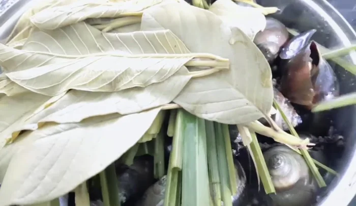 Kiểm tra ốc chín sau khoảng 10 phút.