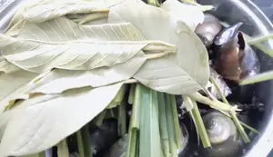 Cách Luộc Ốc Bươu Không Nhớt & Nước Chấm Siêu Ngon