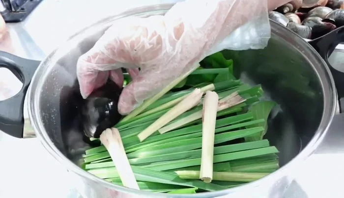 Cho ốc vào nồi, ốc lớn ở dưới đáy, úp các con ốc nhỏ lên trên.