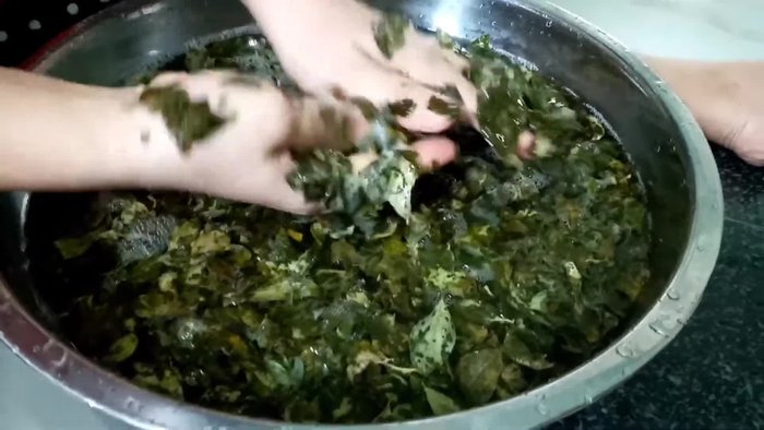 Nấu lá găng: Cho lá găng vào nồi, thêm nước và đun sôi. Thời gian đun tùy thuộc vào độ mềm của lá, nhưng cần để lá găng thật mềm.