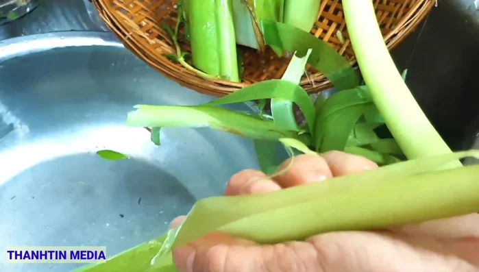 Tước vỏ dọc mùng (nếu dùng). Lưu ý: Nếu có người bị bệnh gút, không nên dùng bạc hà và dọc mùng.