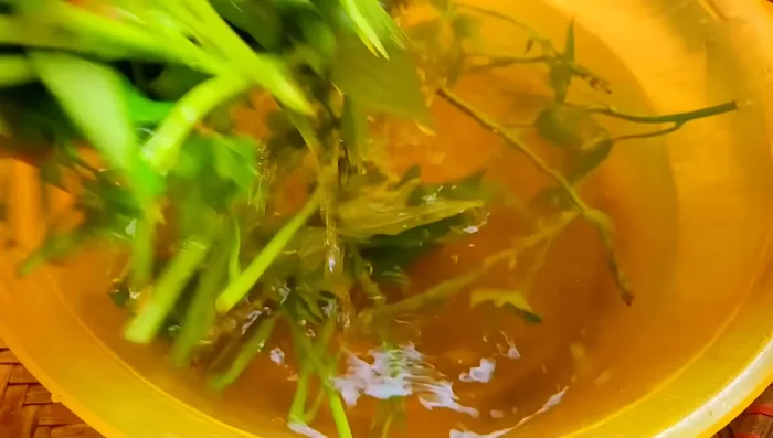 Vớt rau lang ra, xả lại với nước sạch 2-3 lần. Lưu ý rửa nhẹ nhàng để rau giữ được độ tươi xanh.