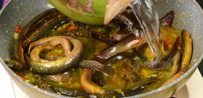 Thêm nước dừa vào kho cá, đun sôi rồi hạ lửa nhỏ, hớt bọt.