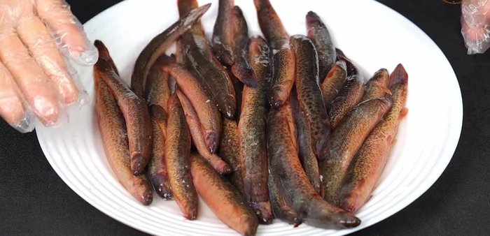 Ướp cá trạch với muối và chanh trong 10 phút.