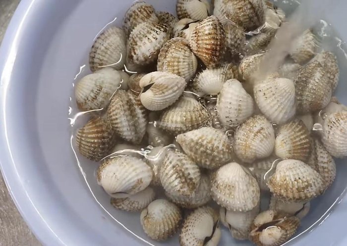 Cho nước sôi vào ngâm sò huyết 1 phút, sau đó đổ ra để ráo nước.