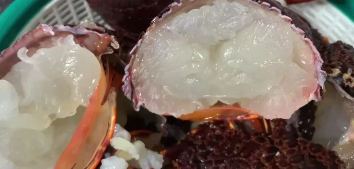 Cho tôm hùm đã phi thơm vào nồi cháo.