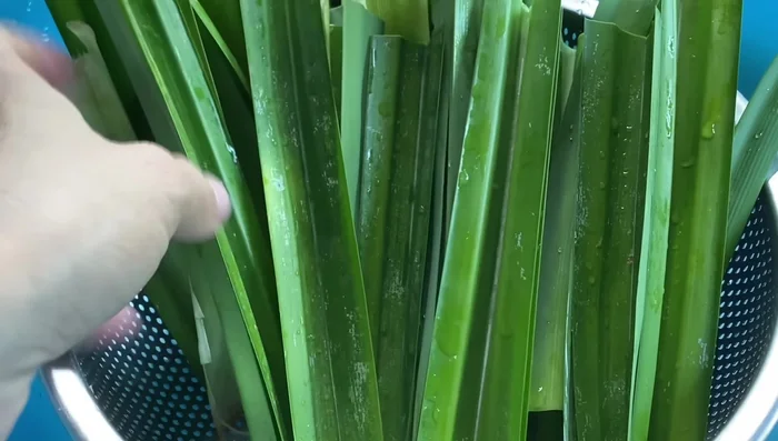Cắt lá dứa thành khúc nhỏ.