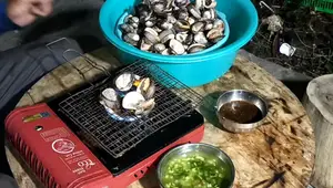 Cách Làm Sò Lông Mở Miệng Ngon Tuyệt - Hướng Dẫn Chi Tiết