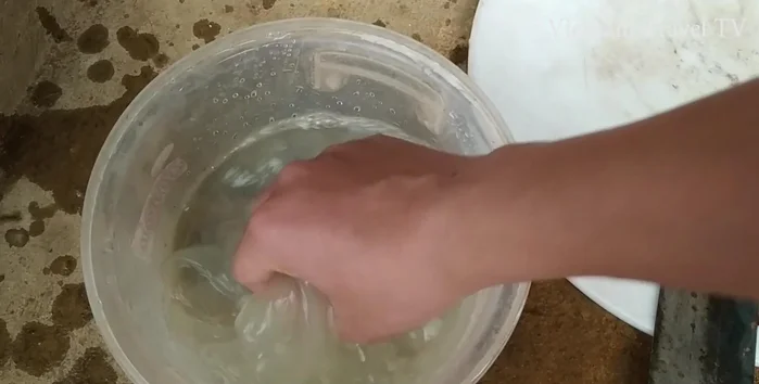 Ngâm nha đam vào nước cốt chanh khoảng 5 phút.