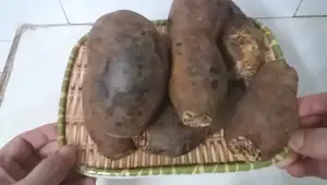 Cách Nướng Khoai Lang Mật Ngon Tuyệt Cùng Lò Nướng
