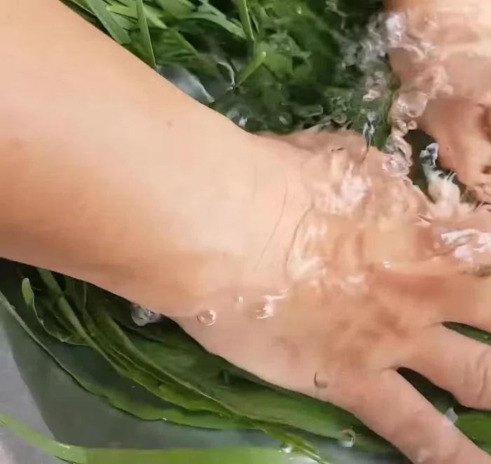 Rửa sạch hẹ, đặc biệt là phần bẹ lá, xả nhiều nước cho sạch.