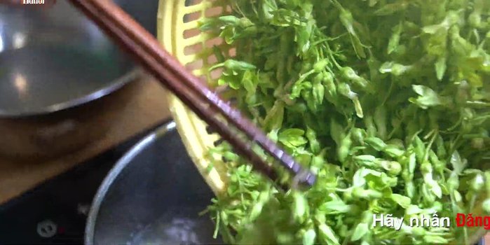 Cho hoa thiên lý và mướp vào, đun nhỏ lửa. (203.92)