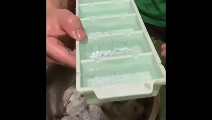 Cho tôm vào tô, thêm đá lạnh hoặc nước đá lạnh để tôm giữ độ tươi và giòn. (Để tôm trong tủ lạnh nếu có).