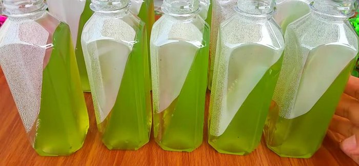 Sau khi thạch đông, rót sữa ngô vào chai, để nguội và bảo quản trong tủ lạnh.