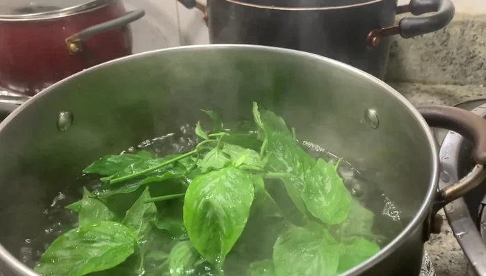 Cho lá nếp cẩm vào nước sôi, đun khoảng 5 phút. (113.7)
