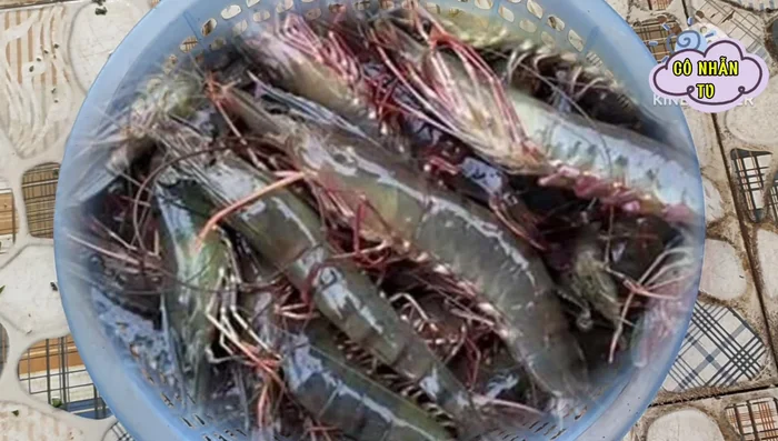 Chọn tôm tươi. Nếu làm ít, cắt râu tôm rồi lăn vào bột chiên xù, sau đó chiên.