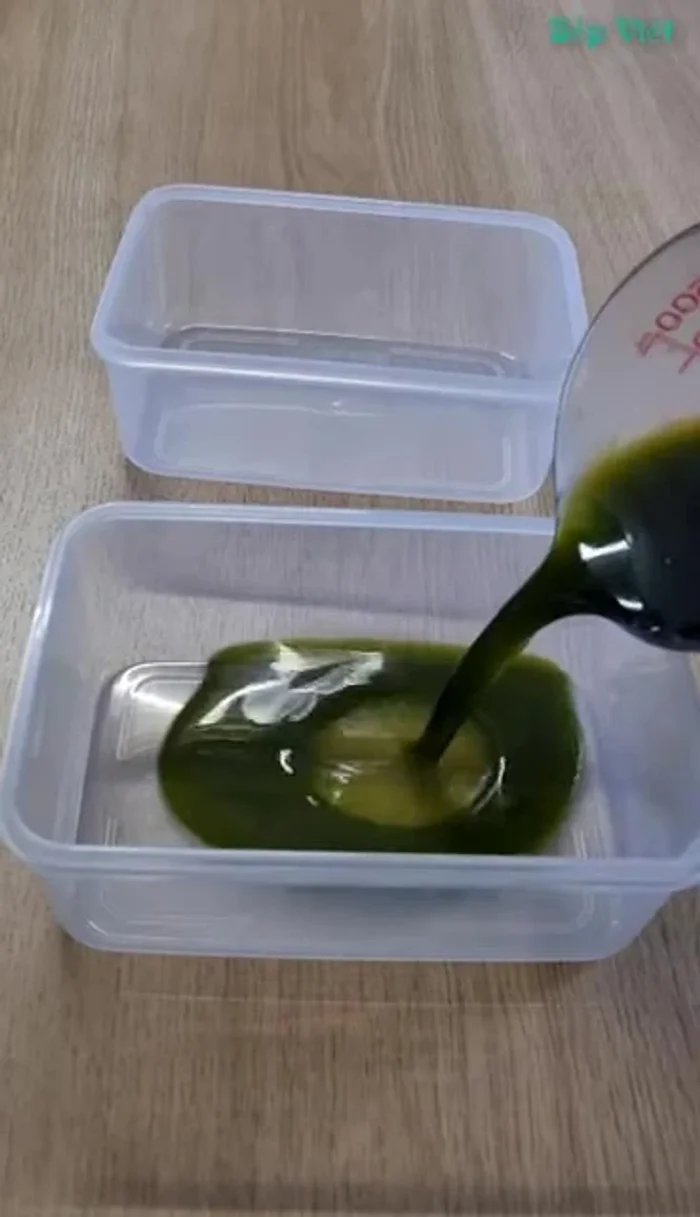 Đổ thạch rau câu xanh vào khuôn (mỗi khuôn 300ml).