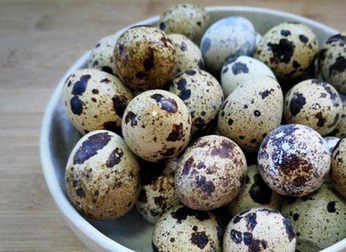 Cho trứng cút vào hũ thủy tinh có nắp hoặc bát thủy tinh to (97.81), đổ nước ngập trứng nhưng không đầy (105.729).