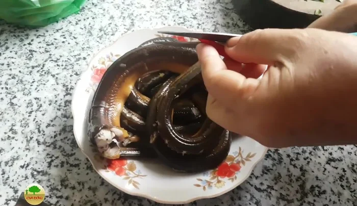 Thêm các gia vị khác (nước mắm, ớt, muối...).