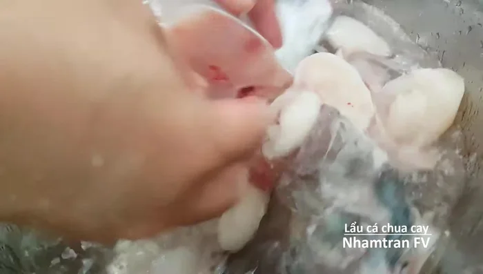 Bóp muối rửa cá sạch, loại bỏ phần chỉ trong bụng cá.