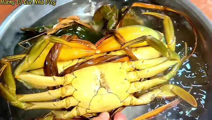 Cắt dây buộc cua, chà rửa sạch sẽ.