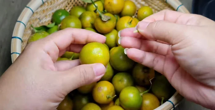 Rửa sạch tắc với nước muối pha loãng để loại bỏ bụi bẩn và côn trùng. (65.53)