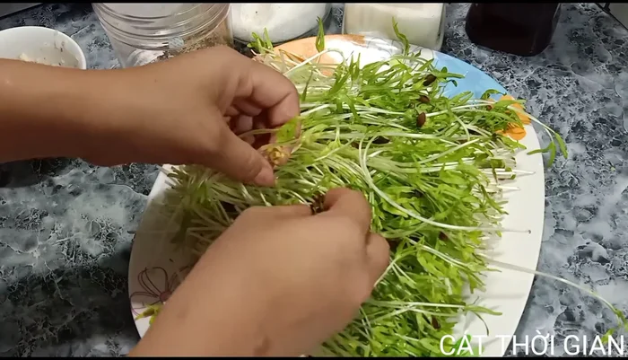 Làm sạch rau muống mầm.