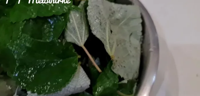 Luộc lá gai với 600g nước sôi, nửa muỗng cà phê muối trong 10 phút.