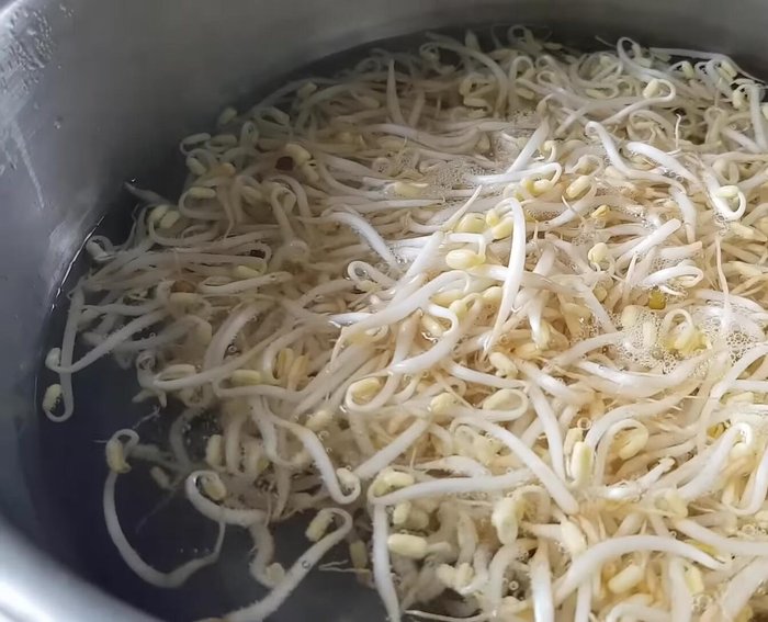 Trụng giá đỗ qua nước sôi.