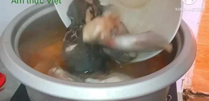 Cho cá vào nước lẩu đang sôi, nấu chín. Nêm lại gia vị cho vừa ăn.